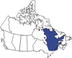 kleine Landkarte Kanada Quebec